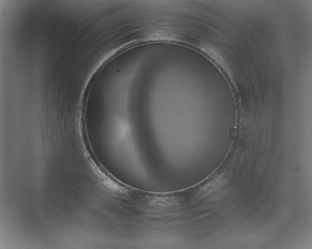 X0000074970941200609011212