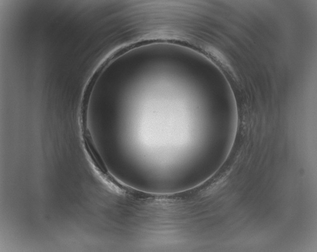 X0000074970942200609011212