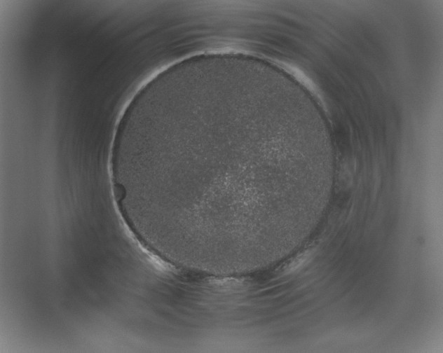 X0000074970943200609011212