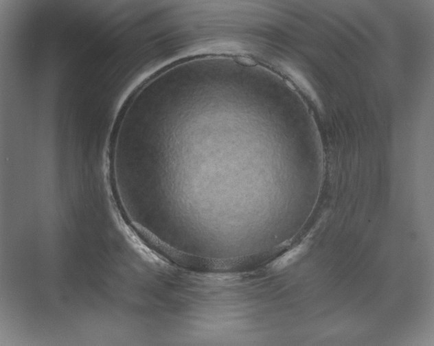 X0000074970944200609011212