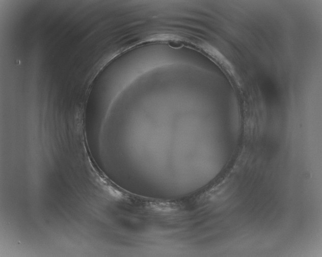 X0000074970945200609011212