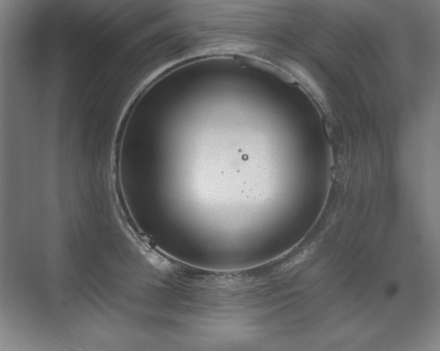 X0000074970948200609011212