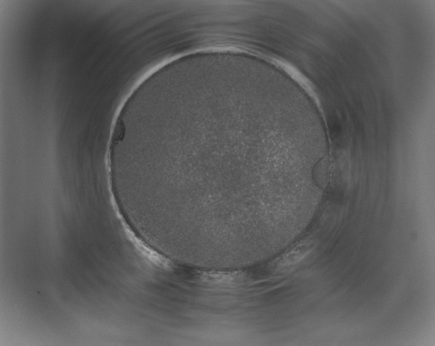 X0000074970951200609011212