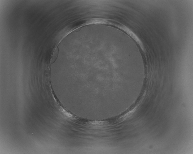 X0000074970953200609011212