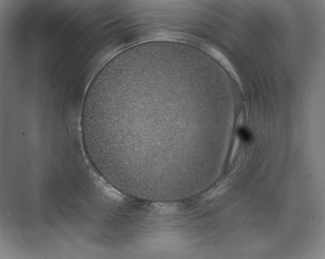 X0000074970954200609011212