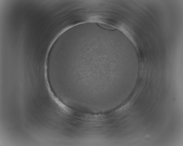 X0000074970955200609011212