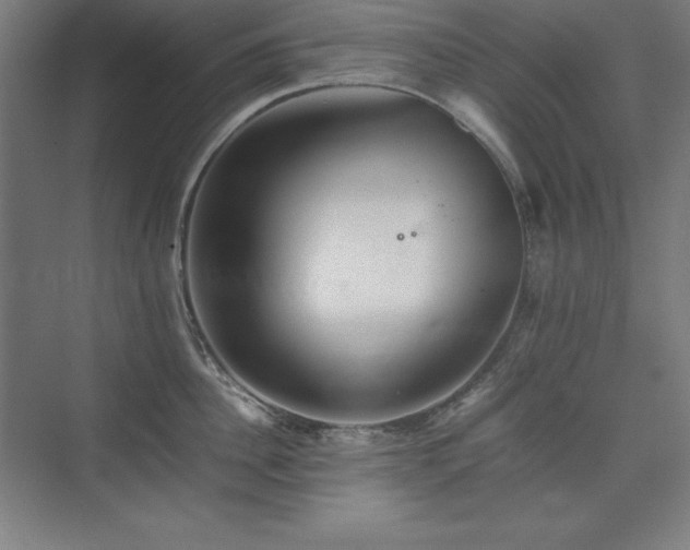 X0000074970956200609011212