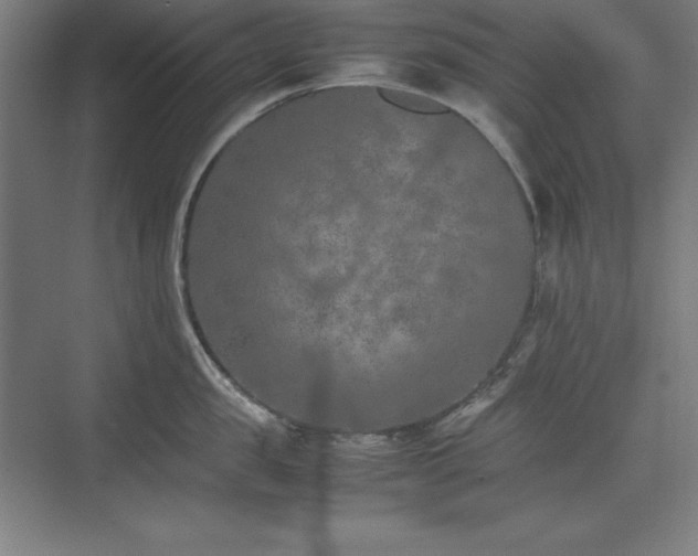 X0000074970957200609011212