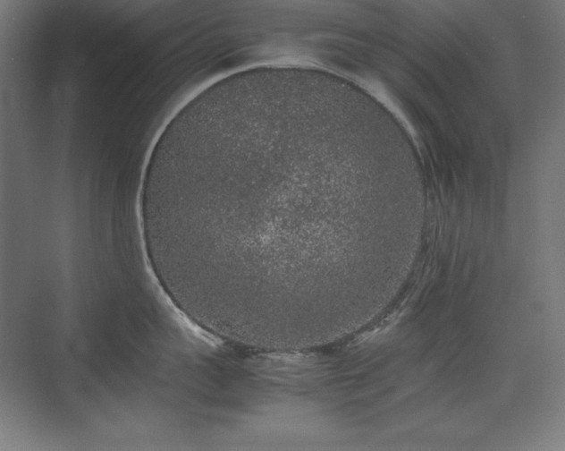 X0000074970959200609011212