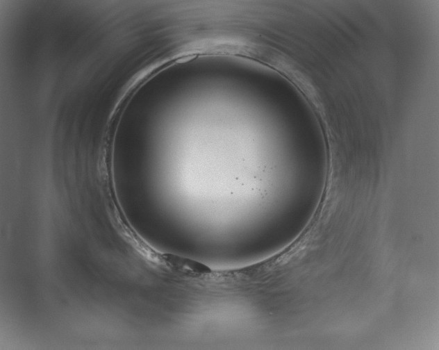 X0000074970960200609011212