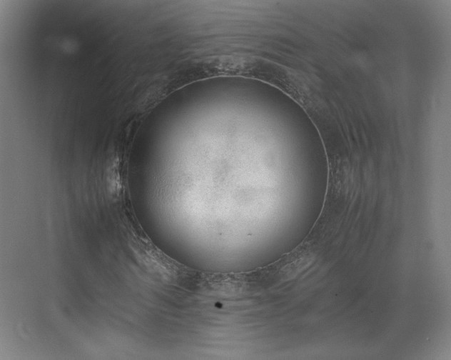 X0000074970962200609011212