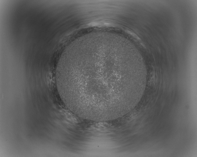 X0000074970966200609011211