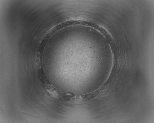 X0000074970968200609011211