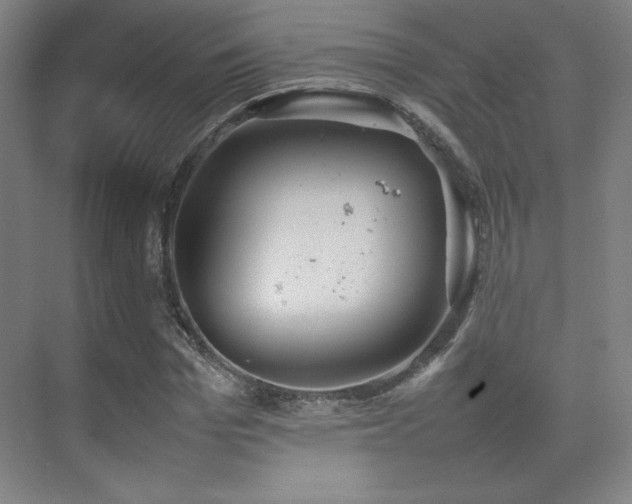 X0000074970969200609011211