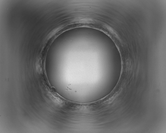 X0000074970970200609011211