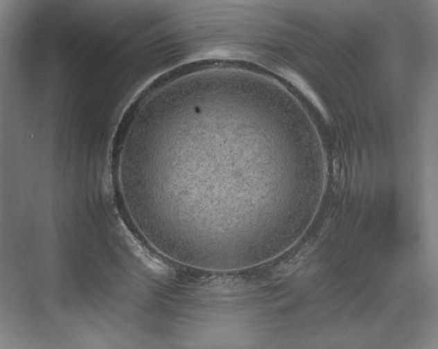 X0000074970972200609011211