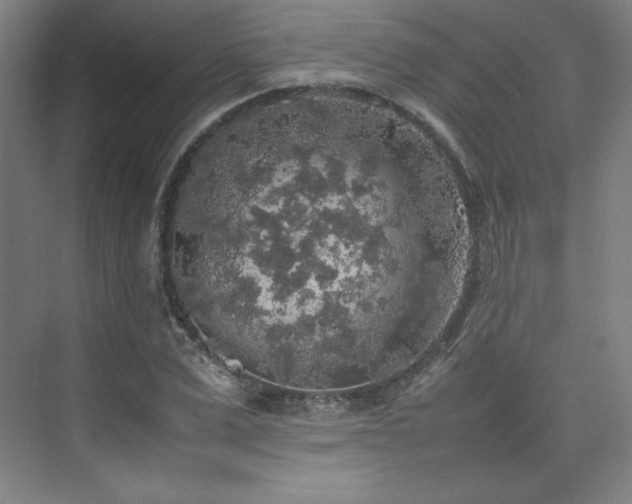 X0000074970975200609011211