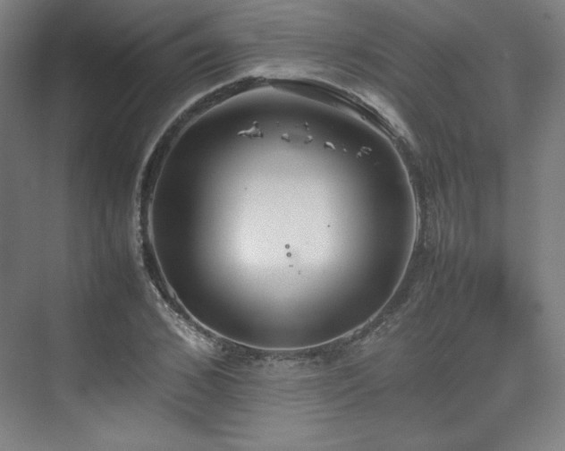 X0000074970976200609011211