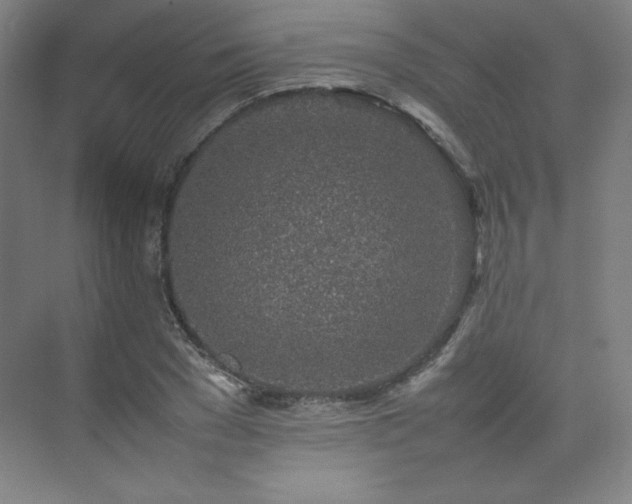 X0000074970977200609011211