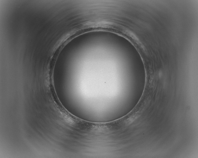 X0000074970978200609011211