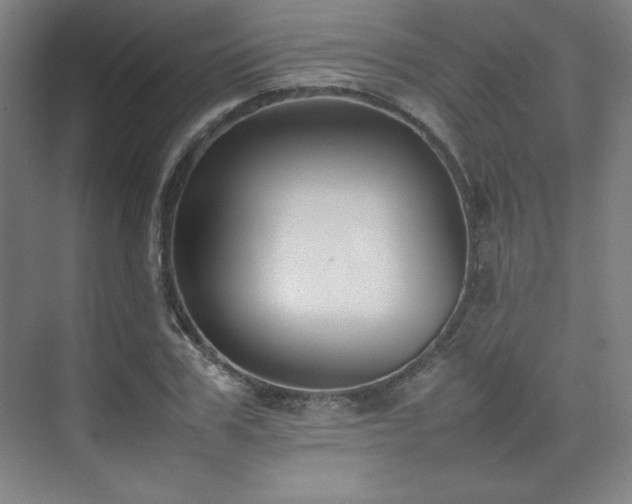 X0000074970979200609011211