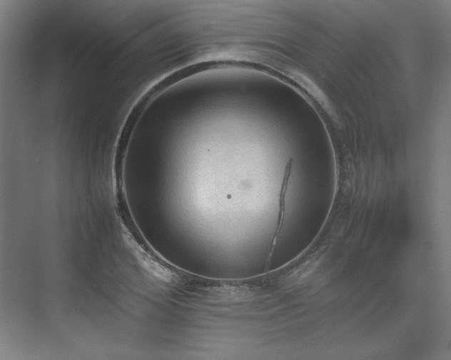 X0000074970980200609011211