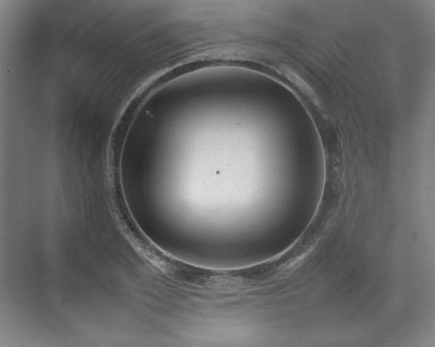 X0000074970981200609011211