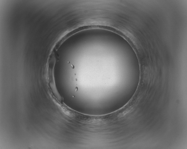 X0000074970982200609011211