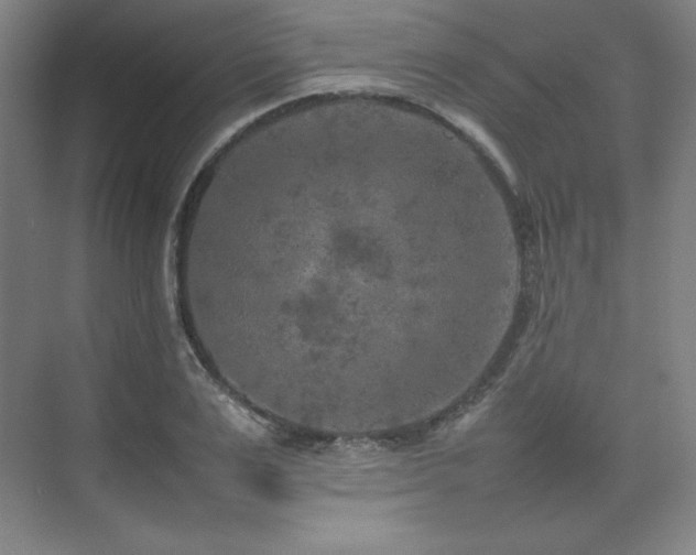 X0000074970983200609011211