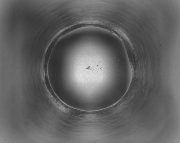 X0000074970984200609011211