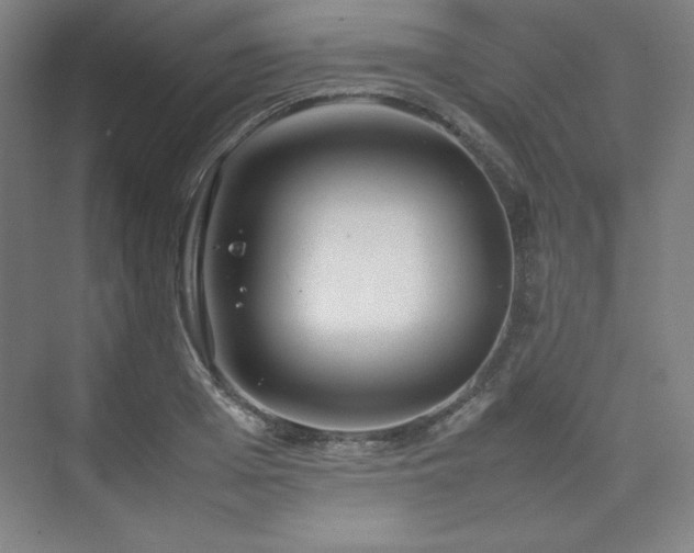 X0000074970985200609011211