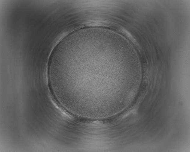 X0000074970986200609011211