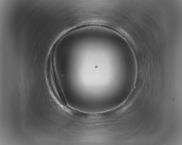 X0000074970989200609011211