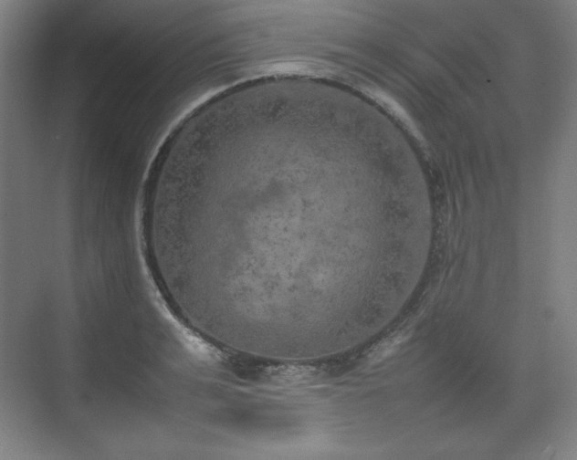 X0000074970991200609011211