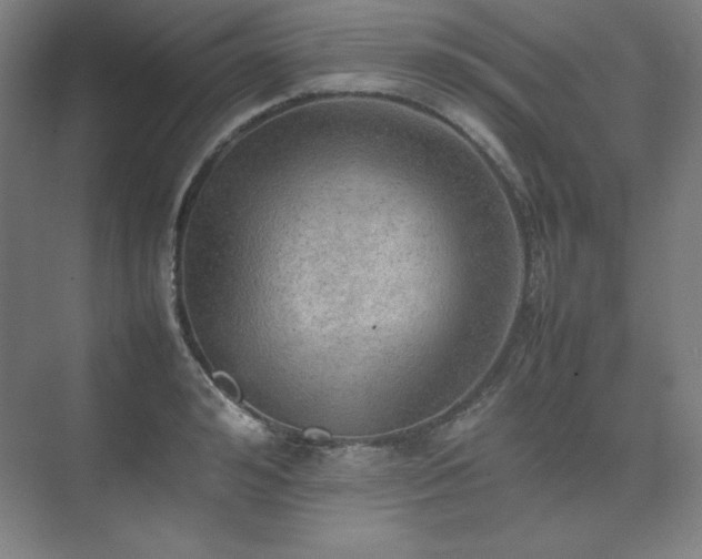 X0000074970992200609011211