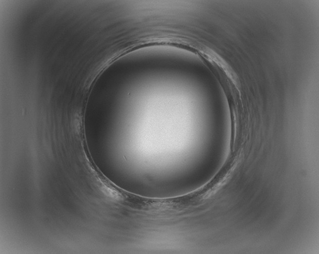 X0000074970993200609011211