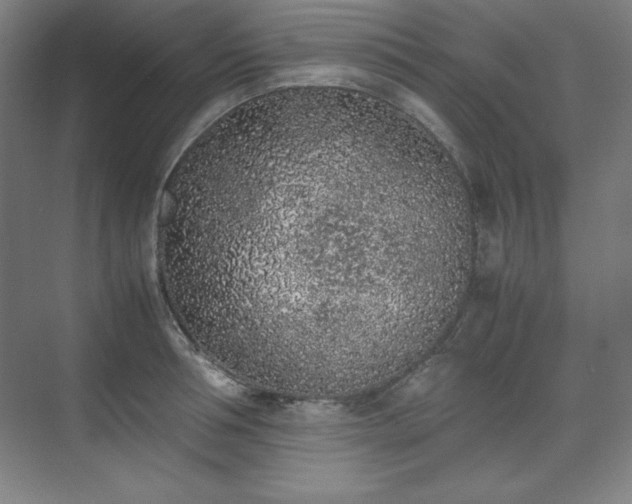 X0000074970994200609011211