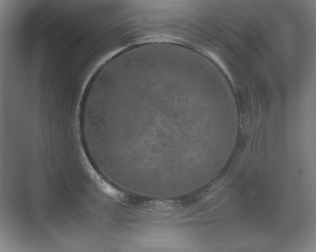 X0000074970995200609011211