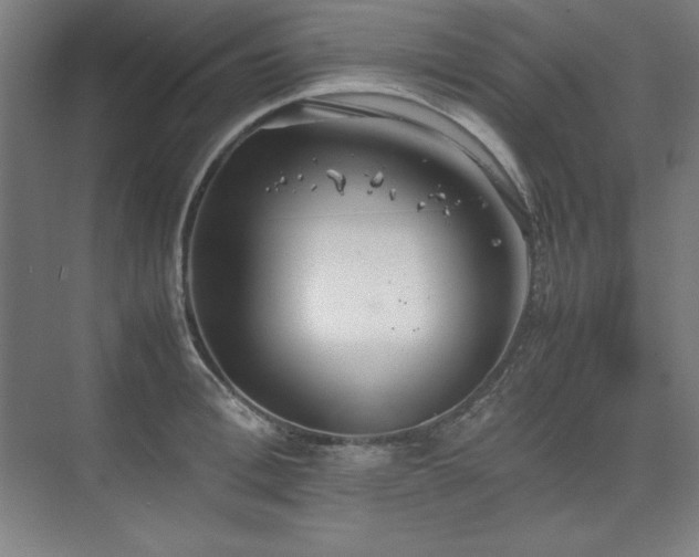 X0000074970996200609011211