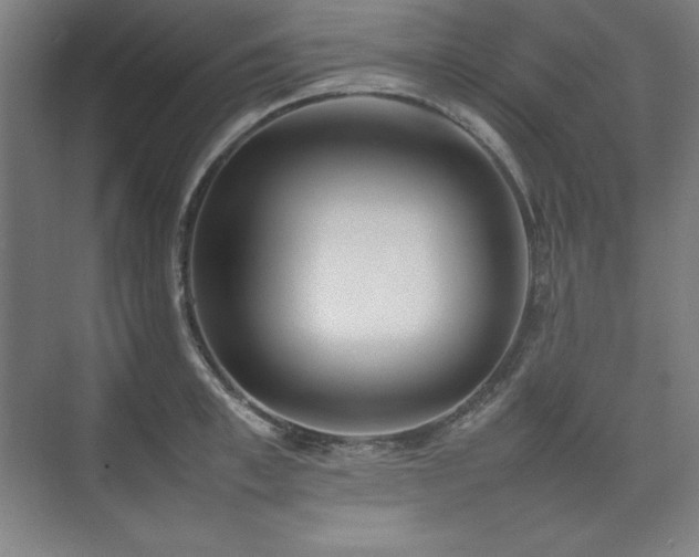 X0000074970997200609011211