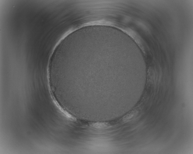 X0000074970998200609011211