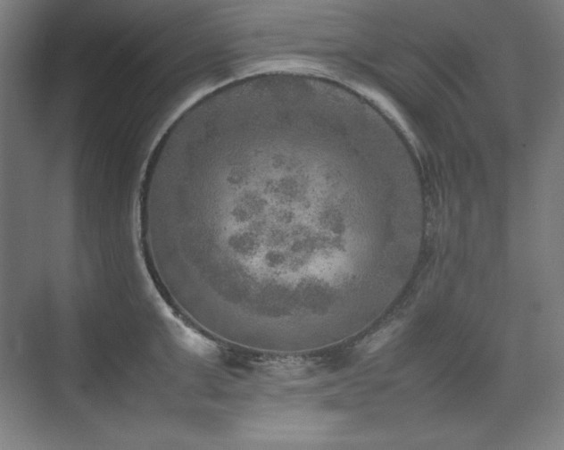 X0000074970999200609011211