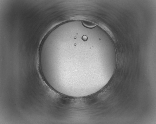 X0000074971000200609011211