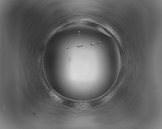 X0000074971001200609011211