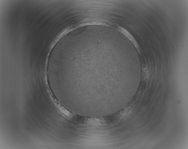 X0000074971002200609011211