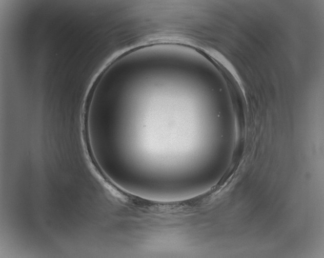 X0000074971005200609011211