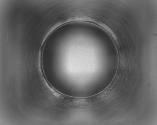 X0000074971006200609011211