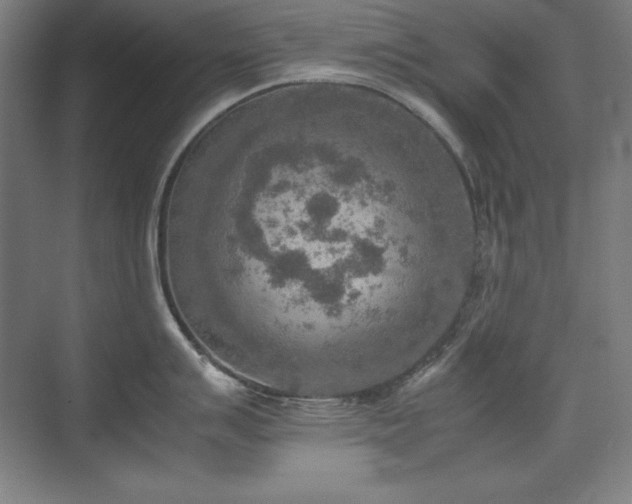 X0000074971007200609011211