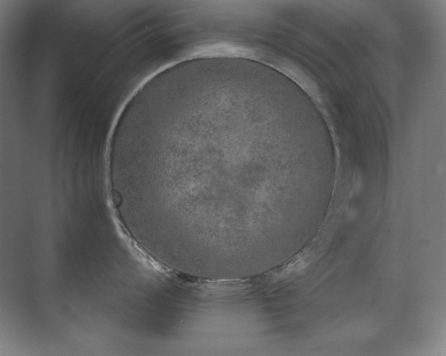 X0000074971008200609011211