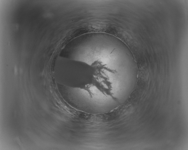 X0000074971009200609011210